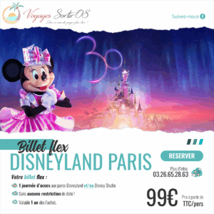 Billet Disneyland® Paris “Flex” 1 jour