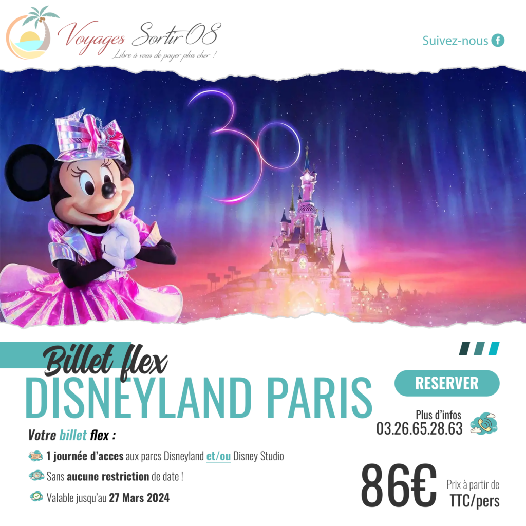 carrefour voyage billet disneyland