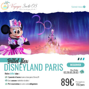 Billet Disneyland® Paris “Flex” 1 jour