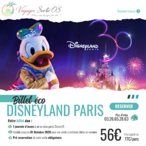 Billet Disneyland® Paris "Eco" 1 jour
