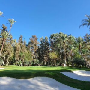 Marrakech Stage de golf PRO séjour Be Live Palmeraie 4*