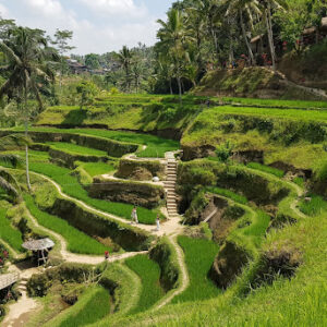 Combiné Bali