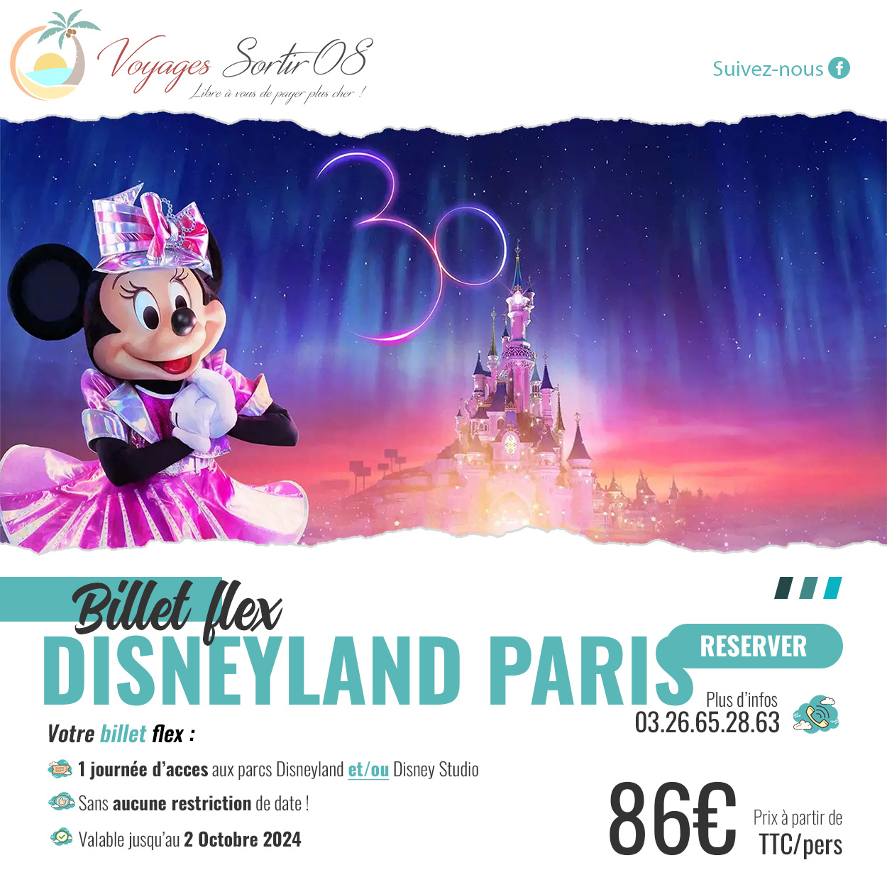 Parc DISNEYLAND PARIS adulte ou enfant - Billet Eco 1 jour 1 Parc