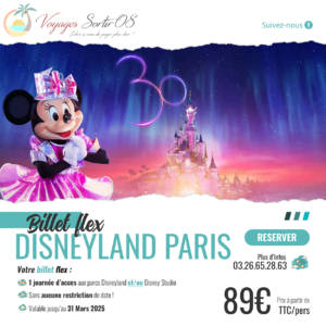 Billet Disneyland® Paris “Flex” 1 jour