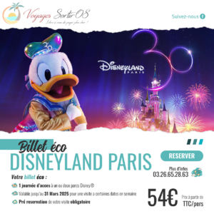 Billet Disneyland® Paris "Eco" 1 jour