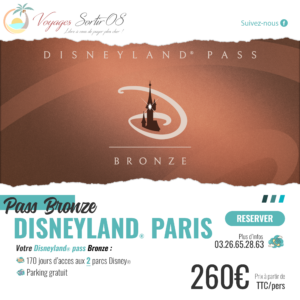 Pass Annuel Disneyland® Paris "Bronze"