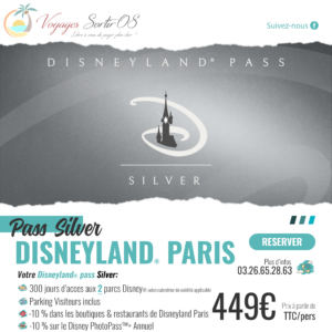 Pass Annuel Disneyland® Paris "Silver"