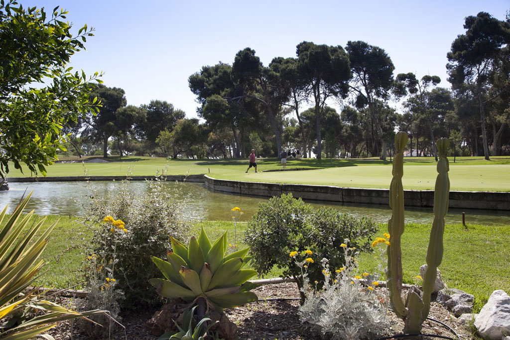 4* Golf Andalousie Riu Costa del Sol All Inclusive